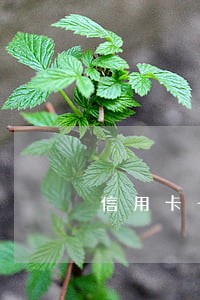信用卡七年逾期 信用卡七年逾期