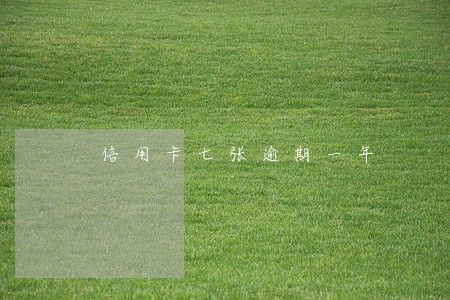 信用卡七张逾期一年 信用卡七张逾期一年