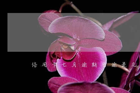 信用卡七月逾期当逾是几月 信用卡七月逾期当逾是几月