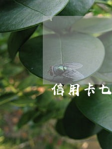 信用卡七次逾期还能用吗 信用卡七次逾期还能用吗
