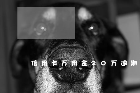 信用卡万用金20万逾期无力偿还 信用卡万用金20万逾期无力偿还