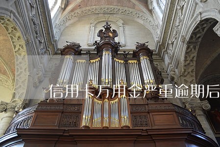 信用卡万用金严重逾期后果 信用卡万用金严重逾期后果
