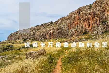 信用卡万用金逾期利息怎么算 信用卡万用金逾期利息怎么算