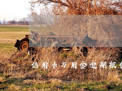 信用卡万用金逾期被告 信用卡万用金逾期被告