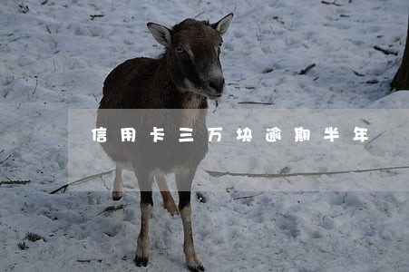 信用卡三万块逾期半年 信用卡三万块逾期半年