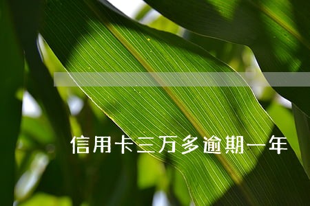 信用卡三万多逾期一年