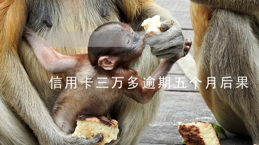 信用卡三万多逾期五个月后果