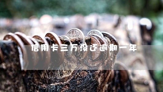 信用卡三万没还逾期一年 信用卡三万没还逾期一年