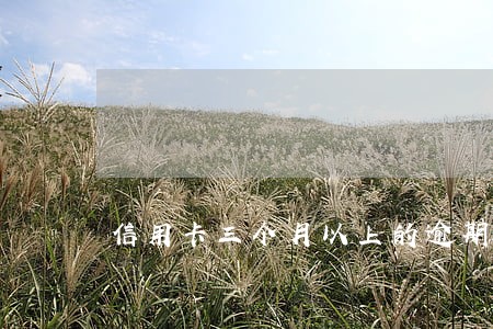 信用卡三个月以上的逾期 信用卡三个月以上的逾期