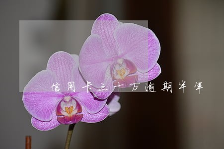 信用卡三十万逾期半年 信用卡三十万逾期半年