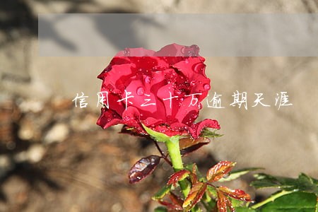 信用卡三十万逾期天涯 信用卡三十万逾期天涯