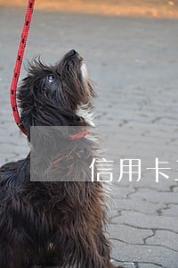 信用卡三千块逾期三年