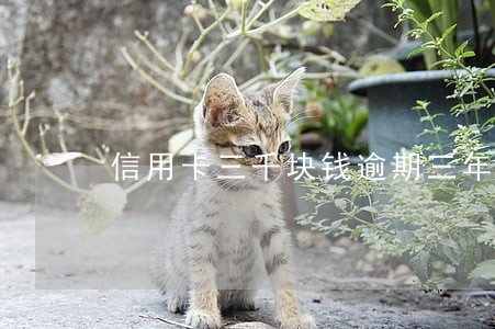 信用卡三千块钱逾期三年 信用卡三千块钱逾期三年