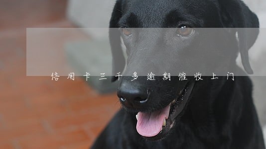 信用卡三千多逾期催收上门