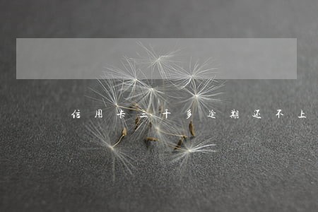 信用卡三千多逾期还不上会坐牢吗 信用卡三千多逾期还不上会坐牢吗