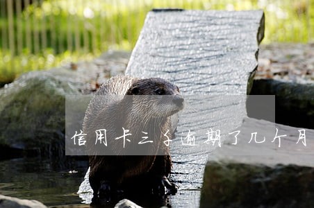 信用卡三千逾期了几个月来抓人