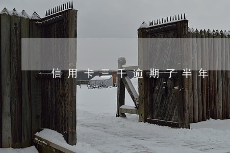 信用卡三千逾期了半年 信用卡三千逾期了半年