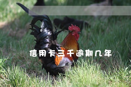 信用卡三千逾期几年 信用卡三千逾期几年