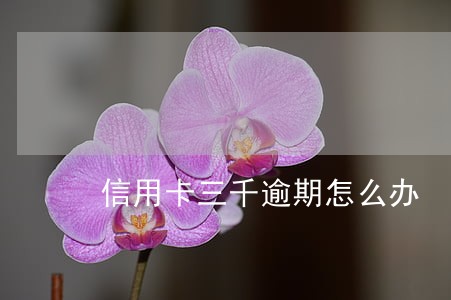 信用卡三千逾期怎么办