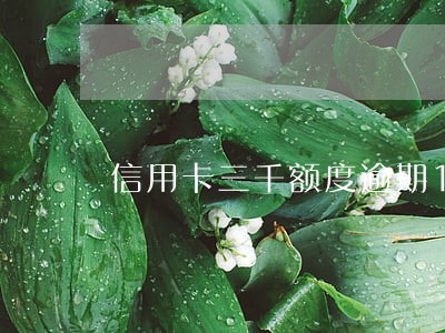 信用卡三千额度逾期10年还不起