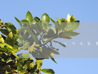 信用卡三天之内还款算是逾期吗