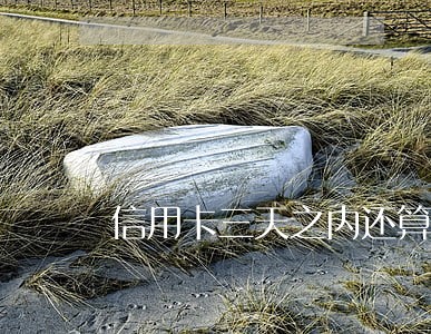 信用卡三天之内还算逾期吗民生 信用卡三天之内还算逾期吗民生