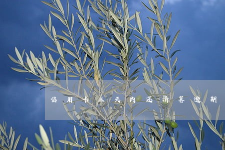 信用卡三天内还清算逾期么
