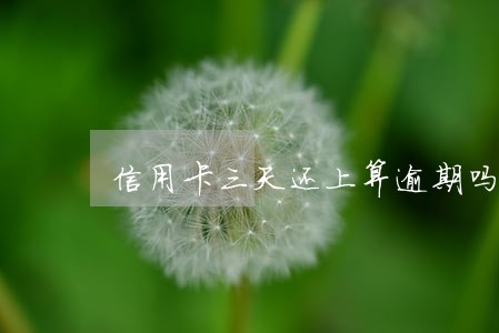 信用卡三天还上算逾期吗 信用卡三天还上算逾期吗