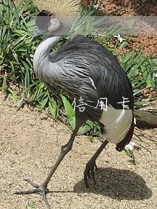 信用卡三季度逾期最新动向 信用卡三季度逾期最新动向