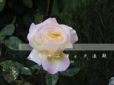 信用卡三年6次逾期 信用卡三年6次逾期