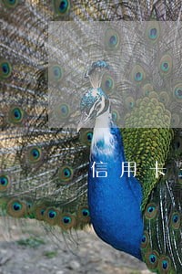 信用卡三年前逾期三个月 信用卡三年前逾期三个月
