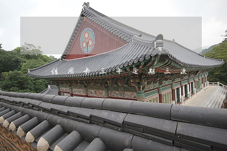 信用卡三年逾期三次