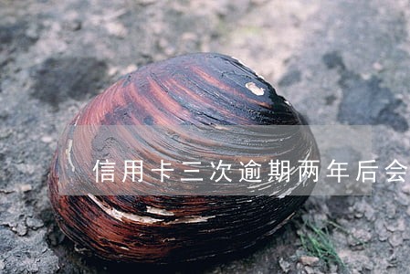 信用卡三次逾期两年后会更新吗 信用卡三次逾期两年后会更新吗
