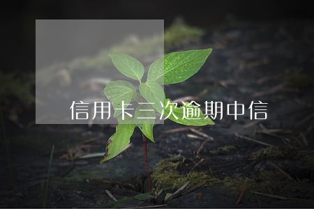 信用卡三次逾期中信 信用卡三次逾期中信