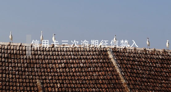 信用卡三次逾期征信禁入