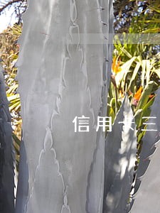 信用卡三种底线不能逾期