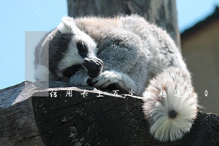 信用卡上万逾期超过90天