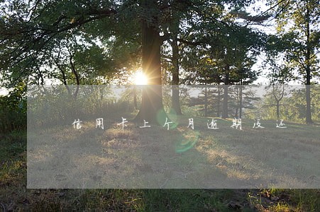信用卡上个月逾期没还 信用卡上个月逾期没还