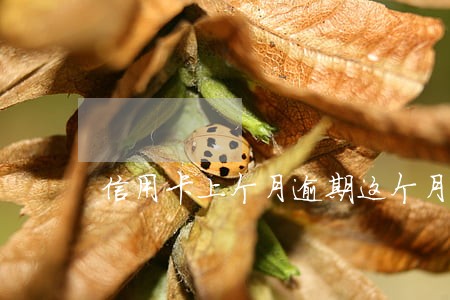 信用卡上个月逾期这个月怎么算 信用卡上个月逾期这个月怎么算