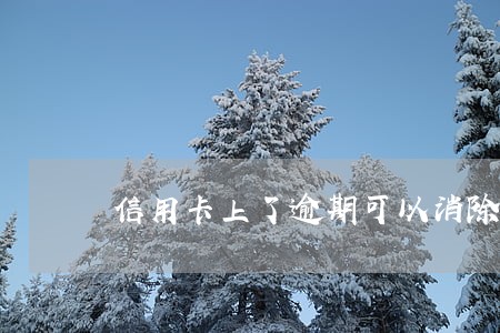 信用卡上了逾期可以消除吗 信用卡上了逾期可以消除吗