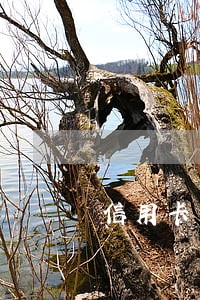 信用卡上借款逾期 信用卡上借款逾期