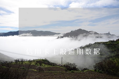 信用卡上报逾期数据