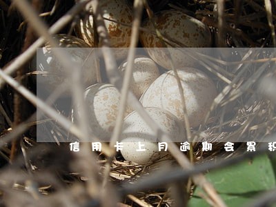 信用卡上月逾期会累积到下月吗 信用卡上月逾期会累积到下月吗