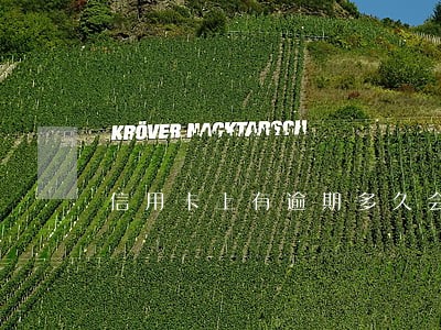 信用卡上有逾期多久会上征信