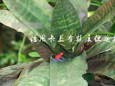 信用卡上有额度但逾期过 信用卡上有额度但逾期过