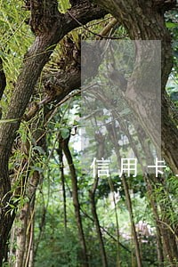 信用卡上期逾期还清下期还最低