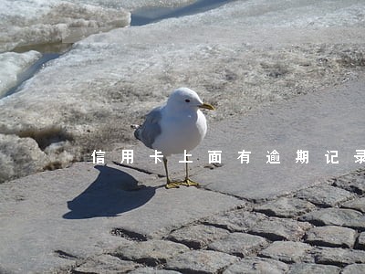 信用卡上面有逾期记录怎么办 信用卡上面有逾期记录怎么办