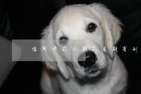 信用卡不分期不逾期有利息吗 信用卡不分期不逾期有利息吗