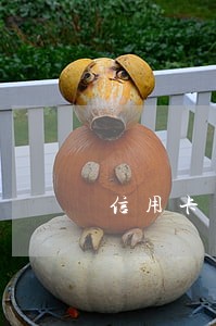 信用卡不到5万逾期了 信用卡不到5万逾期了