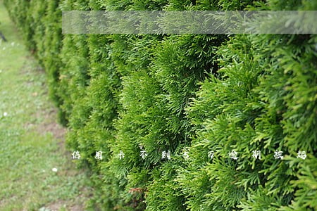 信用卡不到5万逾期被起诉 信用卡不到5万逾期被起诉